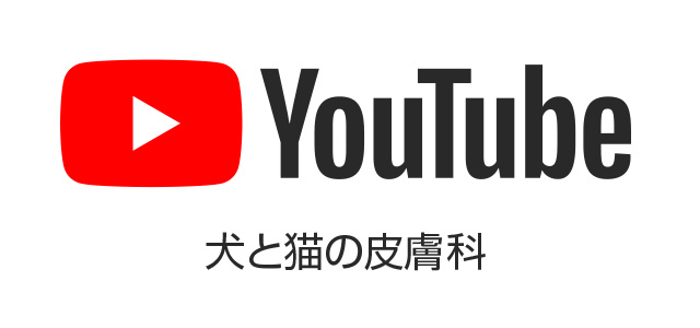 DSDC犬と猫の皮膚科 YouTube